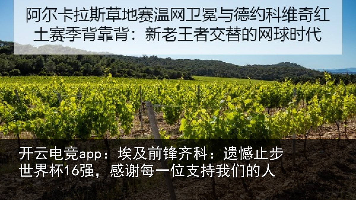 开云电竞app：埃及相关情况世界相关情况持我们的人