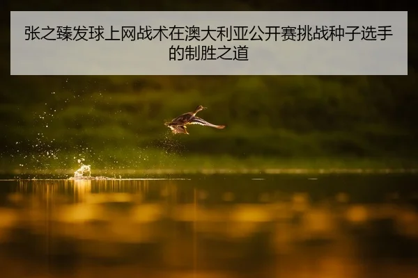 张之臻发球上网战术在澳大利亚公开赛挑战种子选手的制胜之道