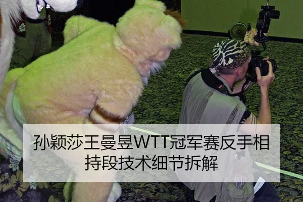 孙颖莎王曼昱WTT冠军赛反手相持段技术细节拆解